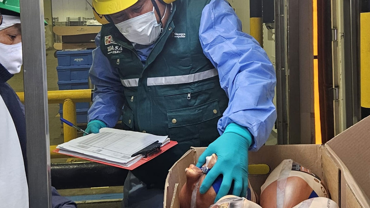 post-xl_38