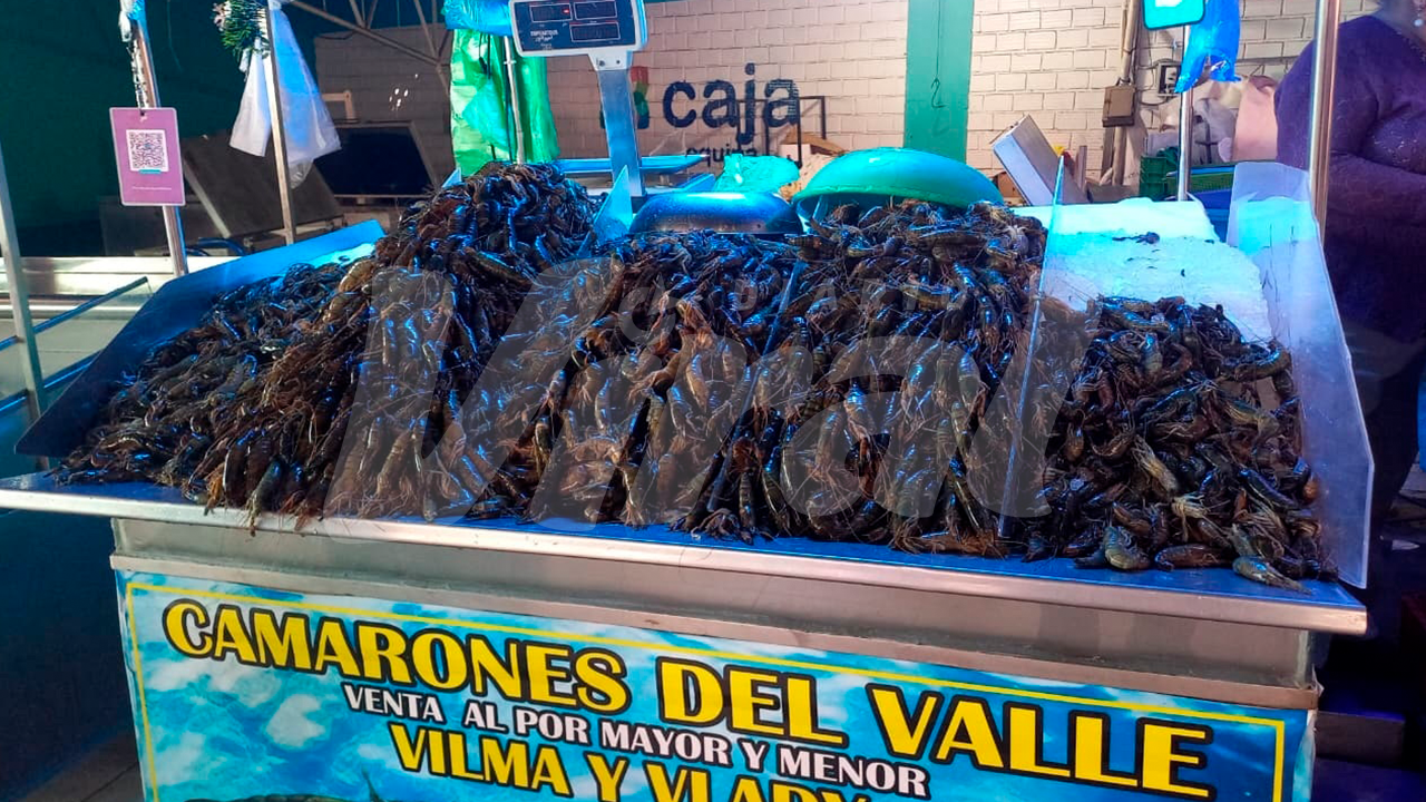 post-xl_38