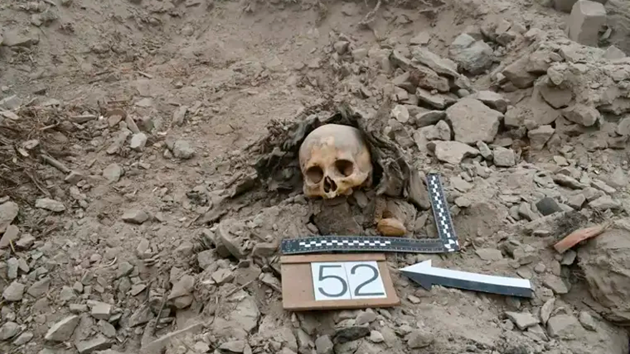 post-xl_38